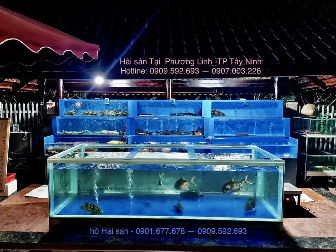 Hướng dẫn thi công bể hải sản an toàn, chính xác, đúng kỹ thuật