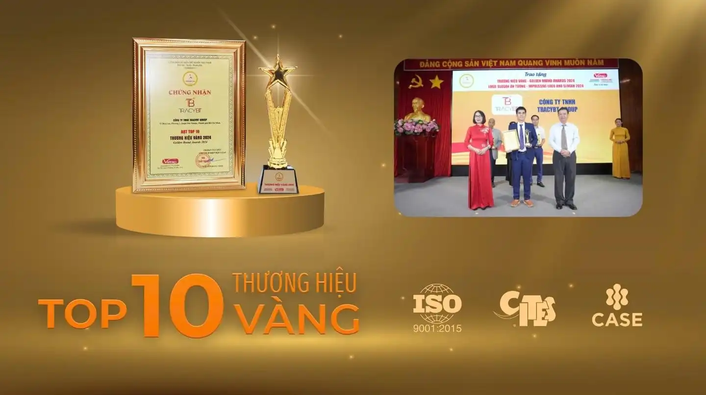 TRACY GIFTS – TỪ NGHỀ TRUYỀN THỐNG 40 NĂM ĐẾN TOP 10 THƯƠNG HIỆU VÀNG