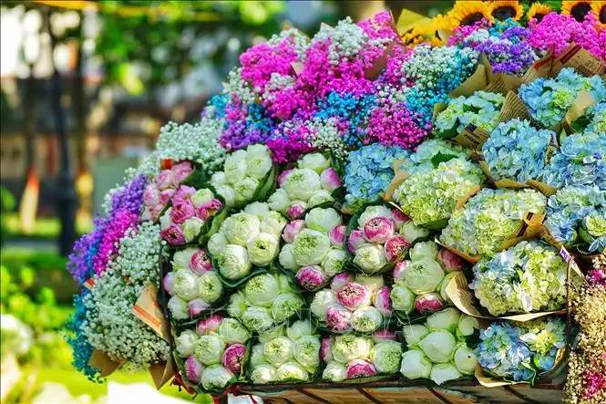 Tháng Tám Hà Nội: Hương thị, hương cốm và mùa thu trở lại
