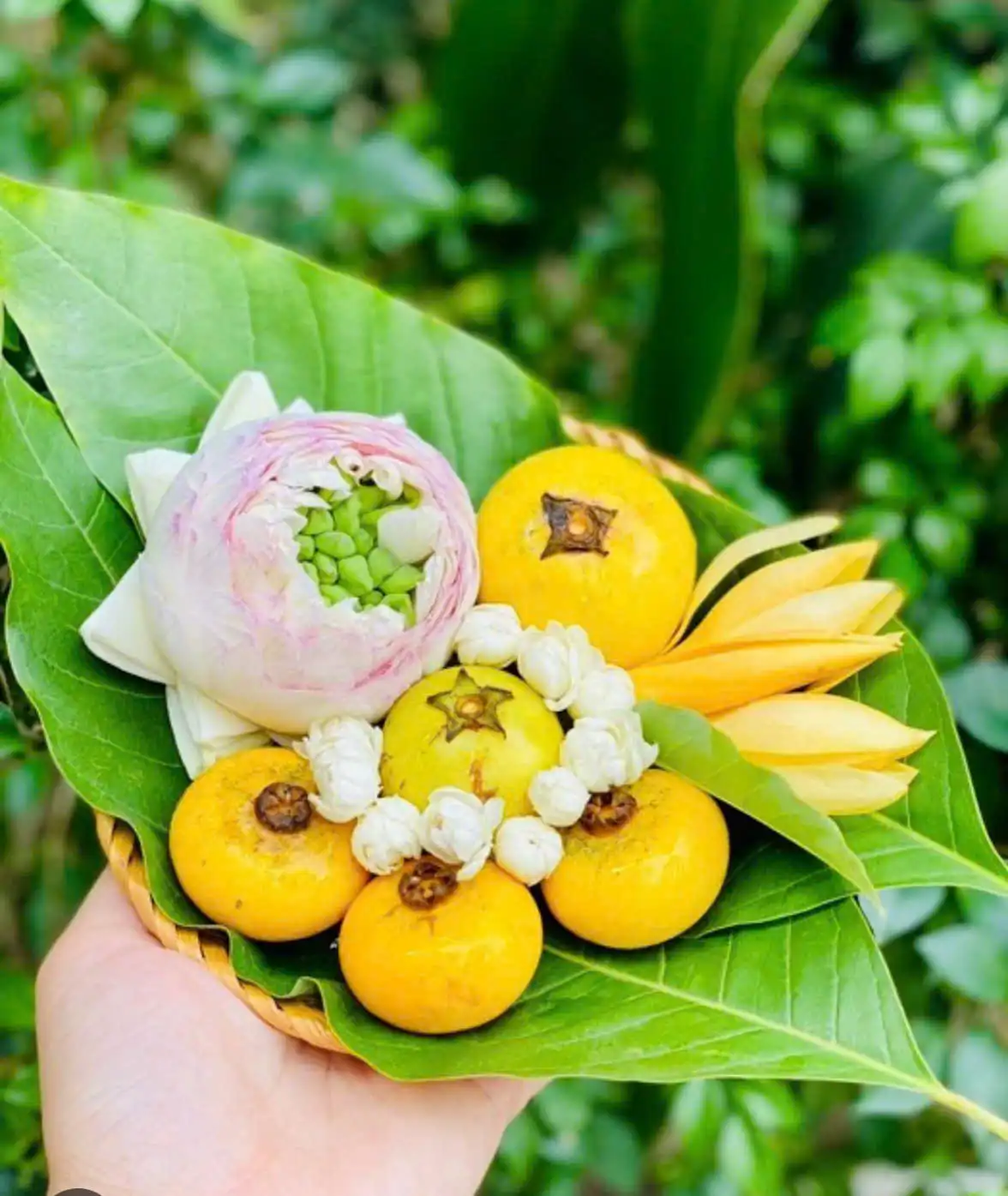 Tháng Tám Hà Nội: Hương thị, hương cốm và mùa thu trở lại