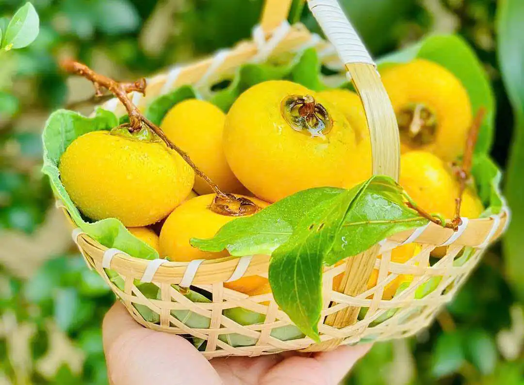 Tháng Tám Hà Nội: Hương thị, hương cốm và mùa thu trở lại