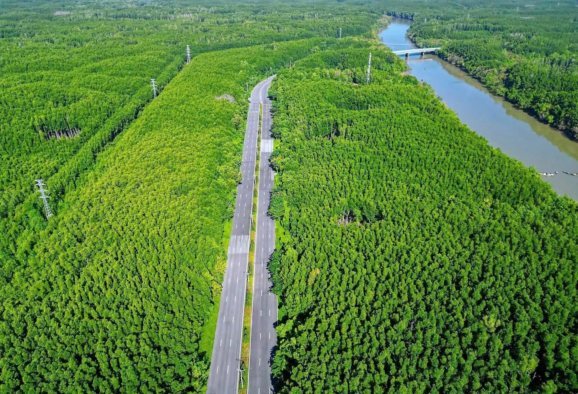 Tiếp nối chuỗi sự kiện khai mở kỳ quan ESG++ tại Vinhomes Green Paradise, liệu những con số kỷ lục mới nào sẽ được thiết lập?