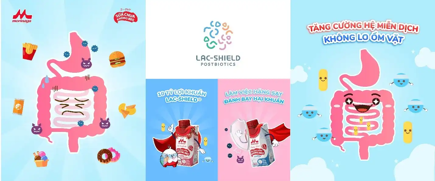 Hệ Tiêu Hóa Khỏe – Nền Tảng Cho Một Ngày Năng Động