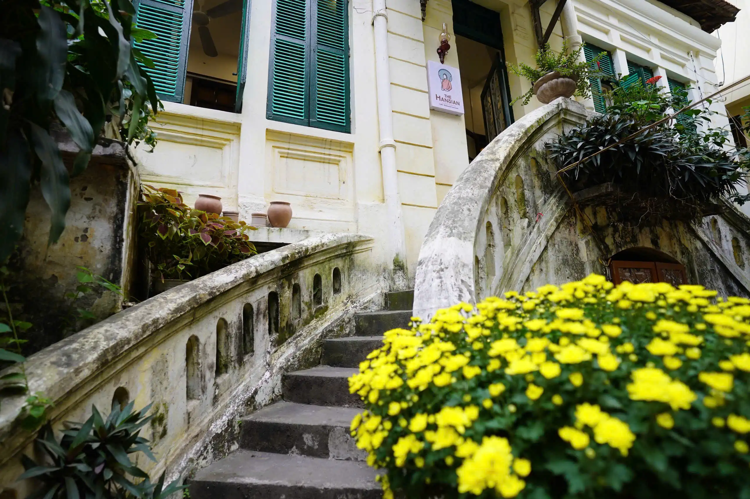 Tháng khai trương, The Hanoian – 5 Trần Phú mang đến nhiều ưu đãi cho thực khách yêu ẩm thực